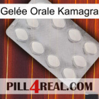 Gelée Orale Kamagra 16
